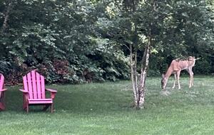 Island Elegance on Pinkham Circle - Nantucket, Massachusetts