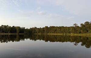 A Forest Escape | Lakeside Peace an Hour from Houston - Montgomery, Texas