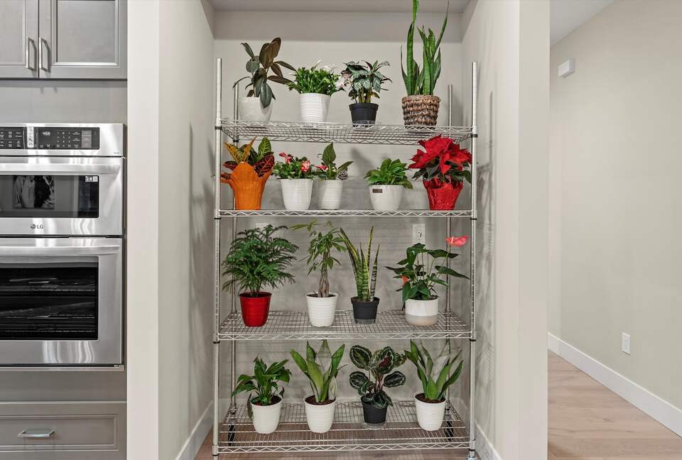 Elegant 5-Bedroom Home near Tech Hubs and Wine Country - San Jose, California