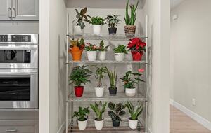 Elegant 5-Bedroom Home near Tech Hubs and Wine Country - San Jose, California