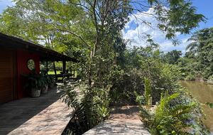 A Private Eco-Luxury Haven in Barra do Sahy - Barra do Sahy, Brazil