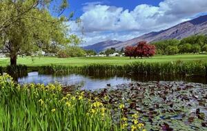 Cottage at Millbrook - Arrowtown, New Zealand
