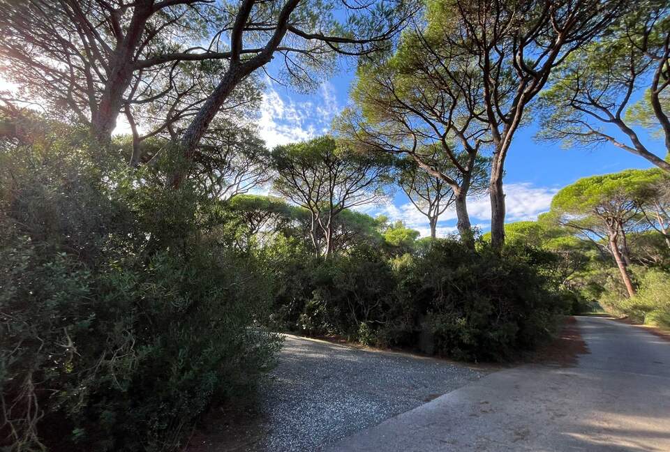 Elegant Garden Estate Steps from the Tuscan Shoreline - Castiglione della Pescaia, Italy