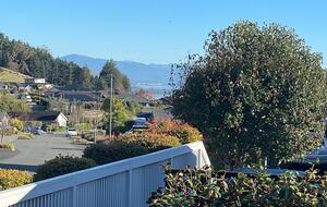 Sunny Marsden Valley Home near Trails & Town - Nelson, New Zealand