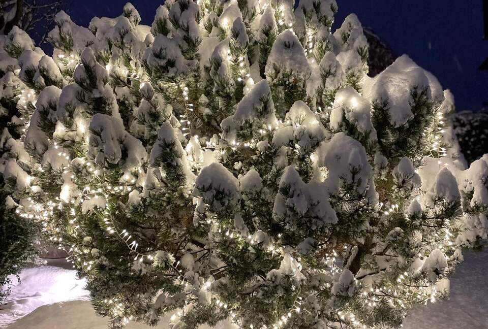 Warm and Inviting Alpine Escape - Bormio, Italy