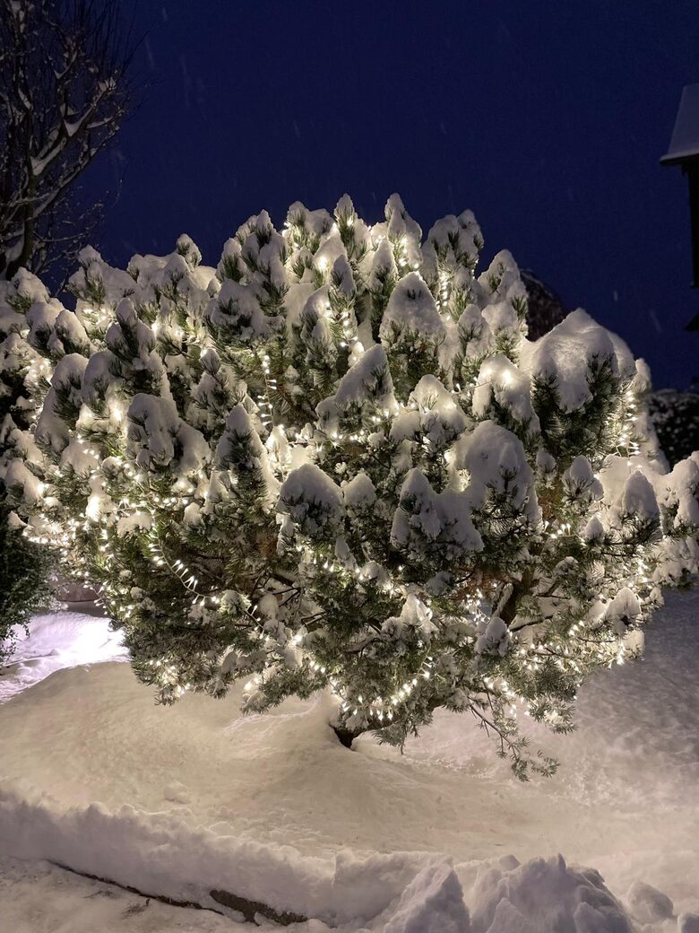 Warm and Inviting Alpine Escape - Bormio, Italy