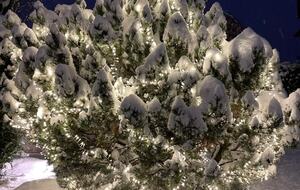 Warm and Inviting Alpine Escape - Bormio, Italy