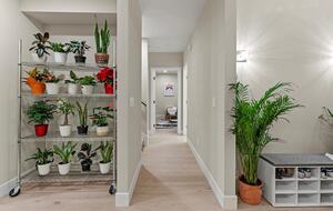 Elegant 5-Bedroom Home near Tech Hubs and Wine Country - San Jose, California