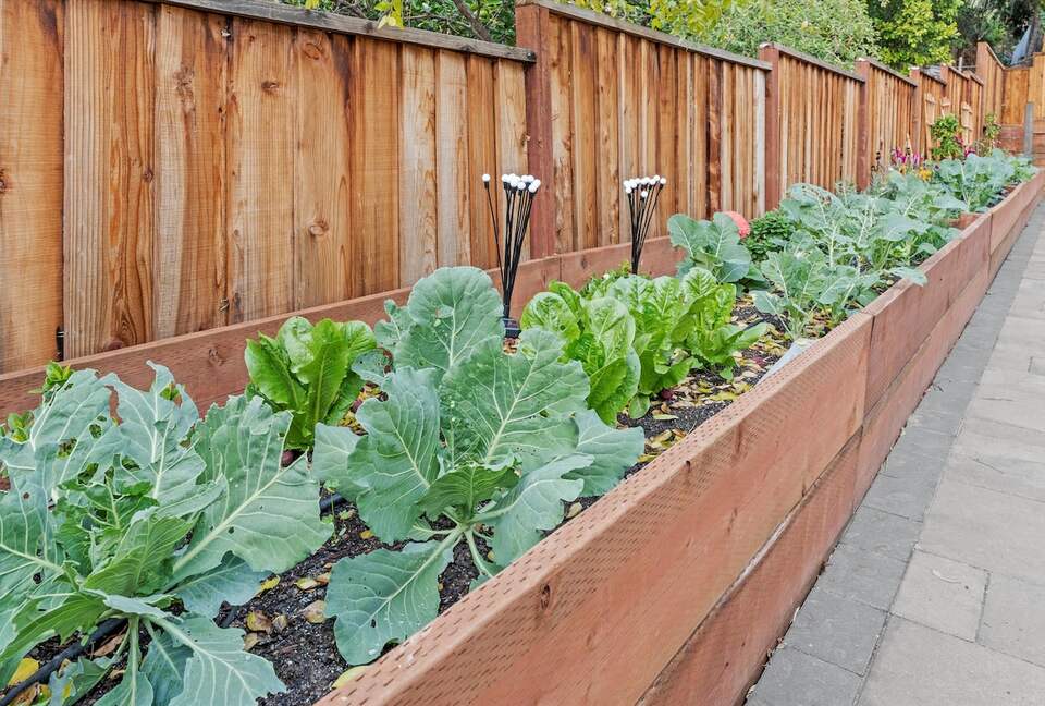 Elegant 5-Bedroom Home near Tech Hubs and Wine Country - San Jose, California