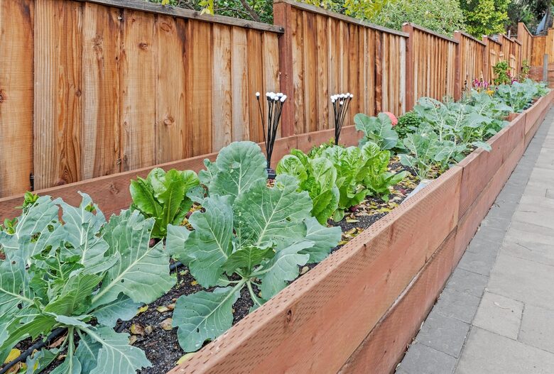 Elegant 5-Bedroom Home near Tech Hubs and Wine Country - San Jose, California