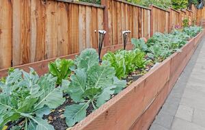 Elegant 5-Bedroom Home near Tech Hubs and Wine Country - San Jose, California