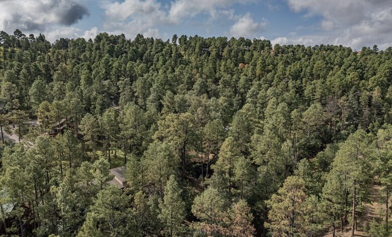 Cozy New Mexico Getaway Surrounded by Scenic Greens - Alto, New Mexico