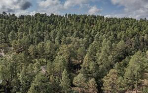 Cozy New Mexico Getaway Surrounded by Scenic Greens - Alto, New Mexico
