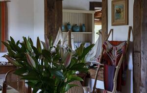 Olivo Santo Estate - Laguna de Zapallar, Chile