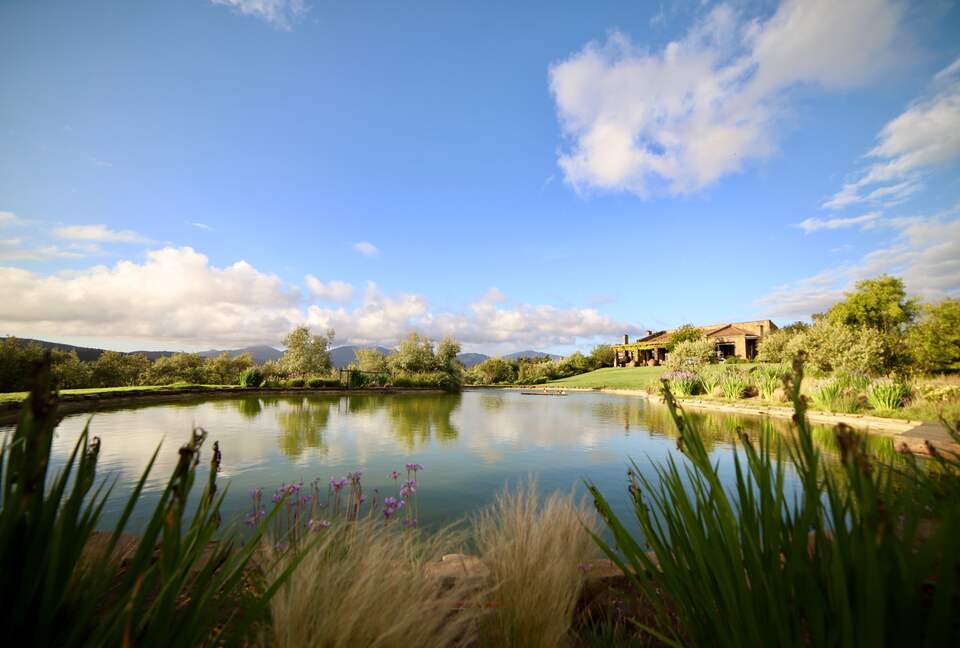 Olivo Santo Estate - Laguna de Zapallar, Chile