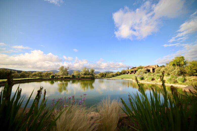 Olivo Santo Estate - Laguna de Zapallar, Chile