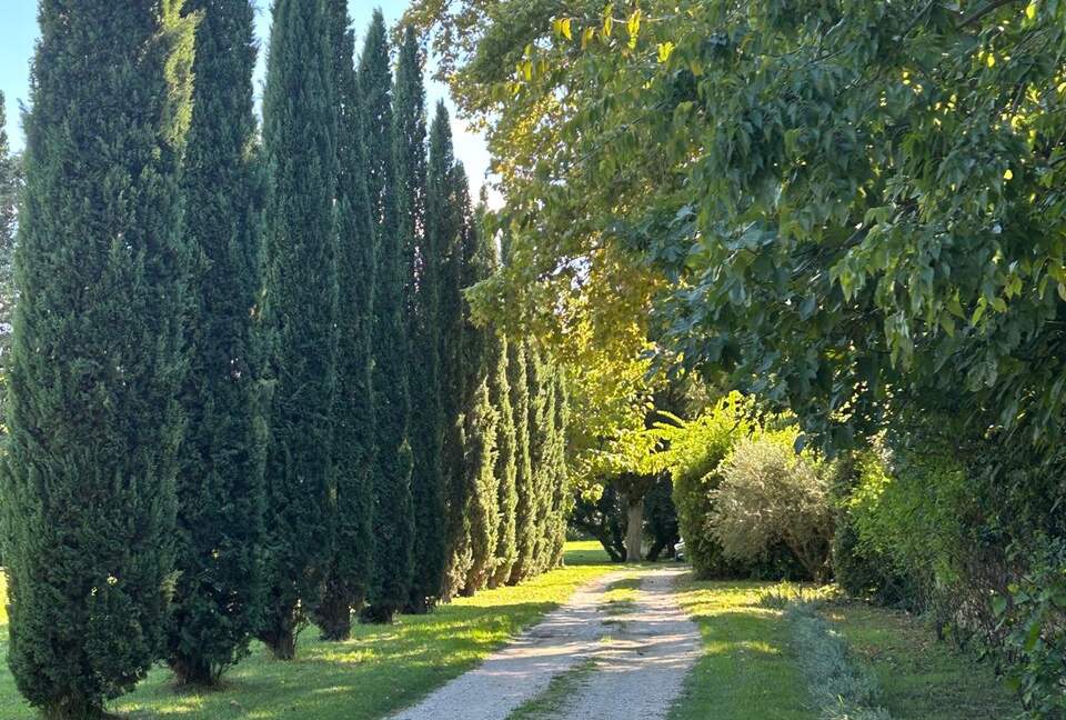 Quintessential Provençal Estate - Jonquières, France