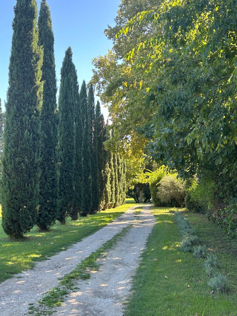 Quintessential Provençal Estate - Jonquières, France