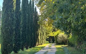 Quintessential Provençal Estate - Jonquières, France