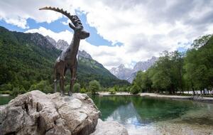 Mountain Apartment in the Heart of Kranjska Gora - Podbreg, Slovenia