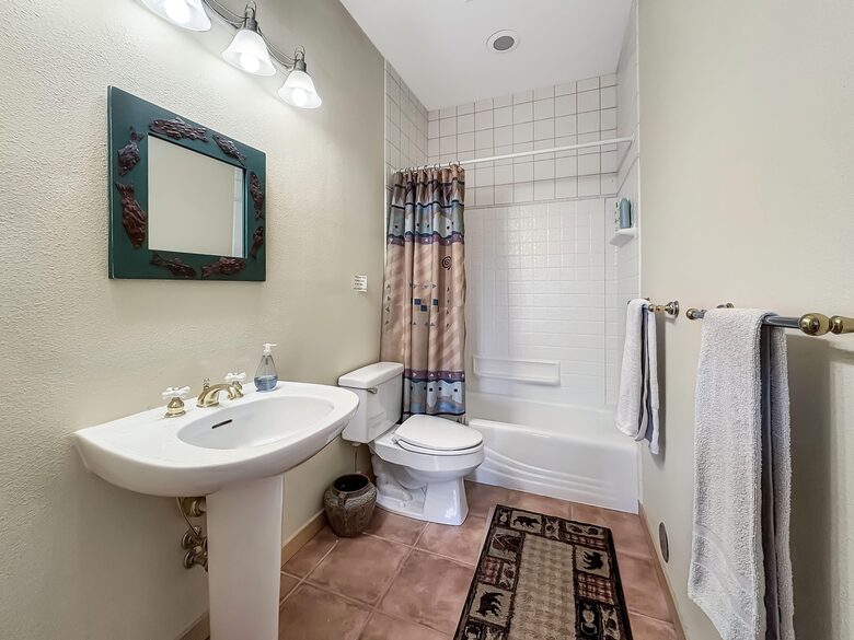 Walkout level Bathroom