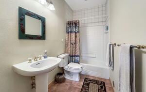 Walkout level Bathroom