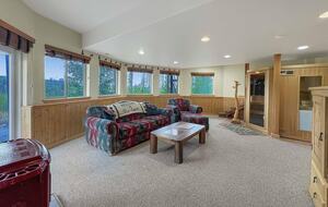 Walkout level Family room TV area & Sauna