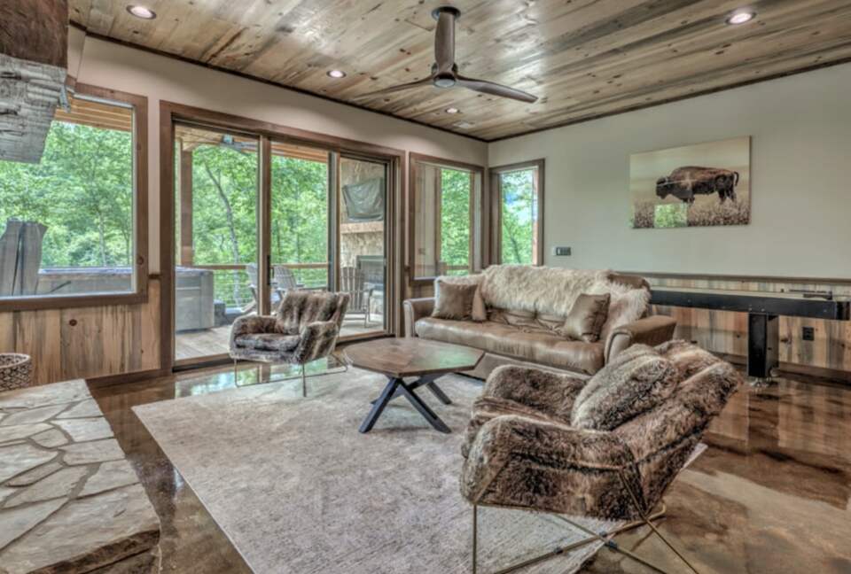 Luxury Riverfront Escape in the Blue Ridge Mountains - Mineral Bluff, Georgia