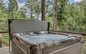 Luxury Riverfront Escape in the Blue Ridge Mountains - Mineral Bluff, Georgia