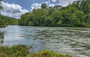 Luxury Riverfront Escape in the Blue Ridge Mountains - Mineral Bluff, Georgia