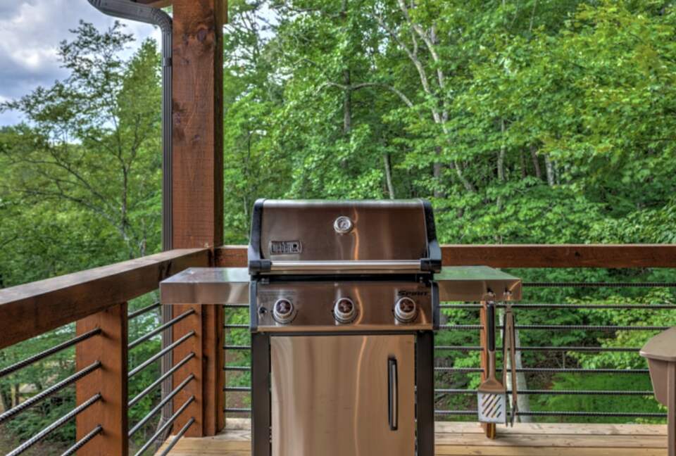 Luxury Riverfront Escape in the Blue Ridge Mountains - Mineral Bluff, Georgia