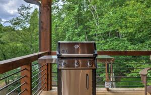 Luxury Riverfront Escape in the Blue Ridge Mountains - Mineral Bluff, Georgia