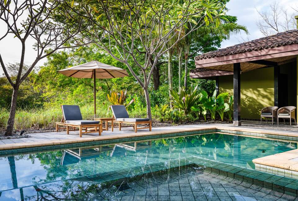 Costa Rican Retreat with Designer Kitchen & Garden Oasis - Santa Cruz Canton, Costa Rica