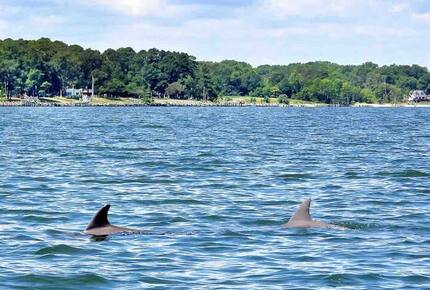 The Chesapeake Haven | 5-Acre Private Beach Getaway - Gloucester County, Virginia