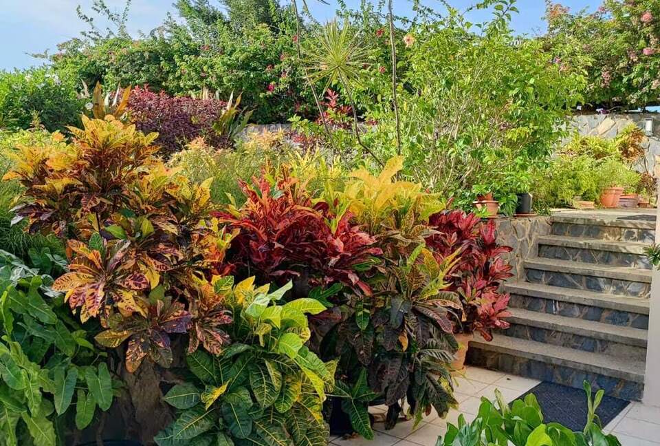 Oceanview Escape Near Bacolet Point Beaches - Bacolet Point, Scarborough, Trinidad and Tobago