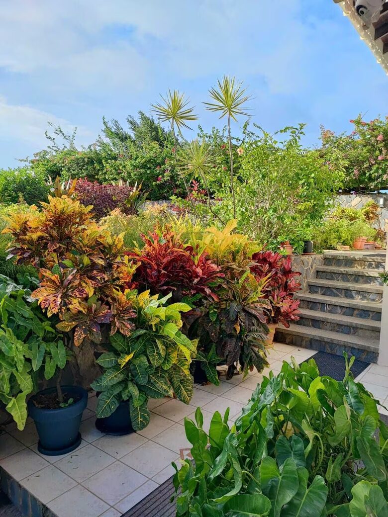 Oceanview Escape Near Bacolet Point Beaches - Bacolet Point, Scarborough, Trinidad and Tobago