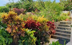 Oceanview Escape Near Bacolet Point Beaches - Bacolet Point, Scarborough, Trinidad and Tobago