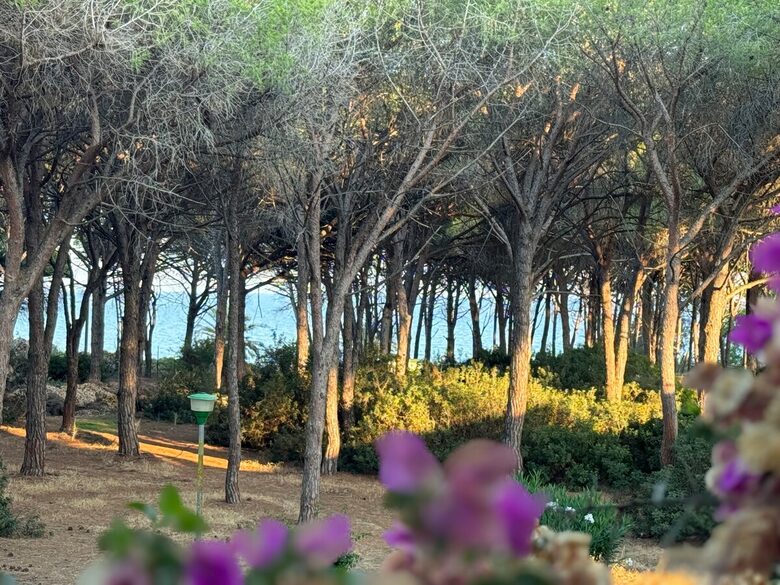 Villa Gioia, a Quiet Coastal Retreat Near Pula & Sardinia’s Famous Beaches - Fox 'e Sali-Monte Agumu, Italy