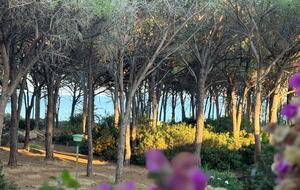 Villa Gioia, a Quiet Coastal Retreat Near Pula & Sardinia’s Famous Beaches - Fox 'e Sali-Monte Agumu, Italy