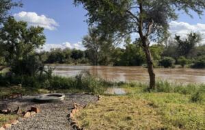 Tapologo River Lodge - Tsetsebjwe, Botswana