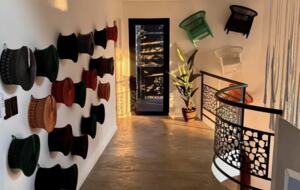 Tapologo River Lodge - Tsetsebjwe, Botswana