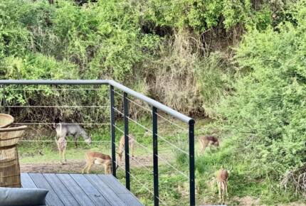 Tapologo River Lodge - Tsetsebjwe, Botswana