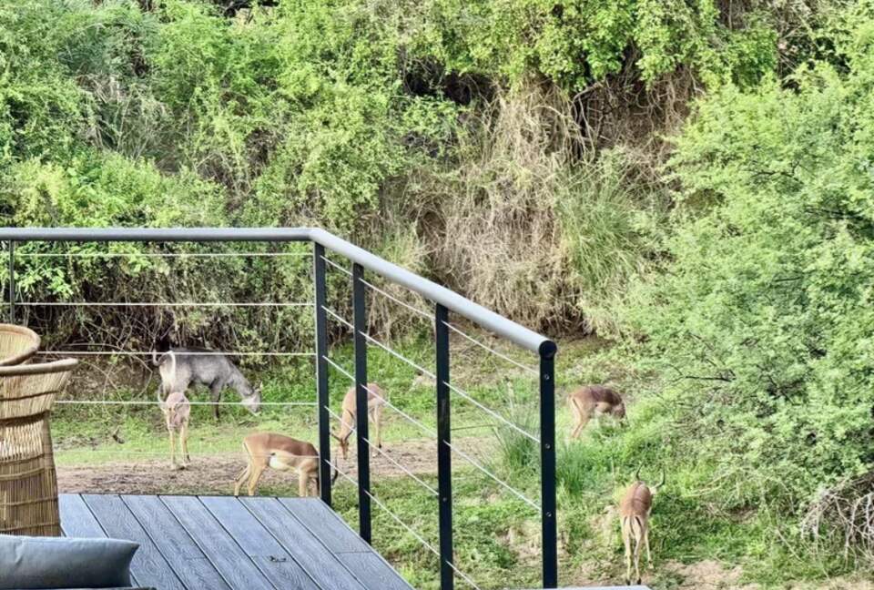 Tapologo River Lodge - Tsetsebjwe, Botswana