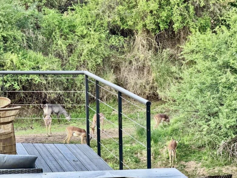 Tapologo River Lodge - Tsetsebjwe, Botswana