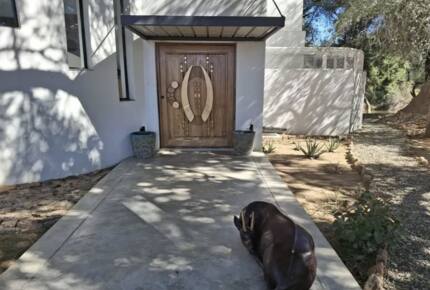 Tapologo River Lodge - Tsetsebjwe, Botswana