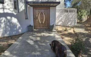 Tapologo River Lodge - Tsetsebjwe, Botswana