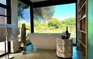 Tapologo River Lodge - Tsetsebjwe, Botswana