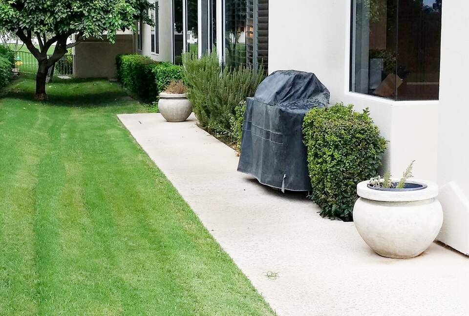 Side Yard with Fruit Trees and Gas BBQ