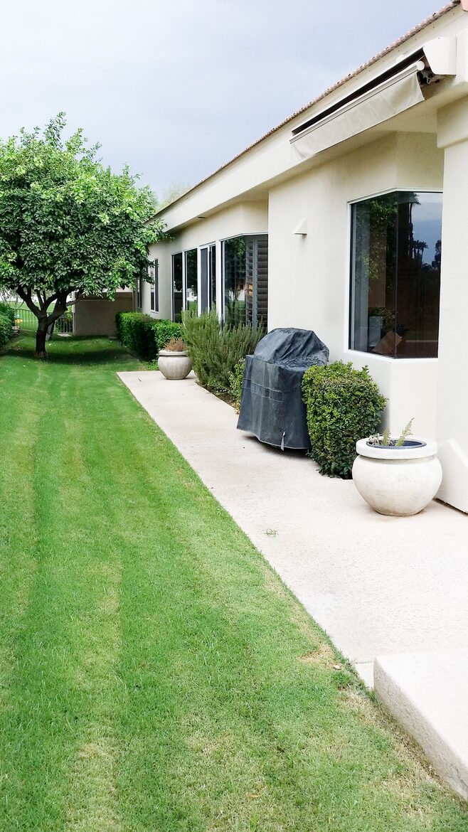Side Yard with Fruit Trees and Gas BBQ