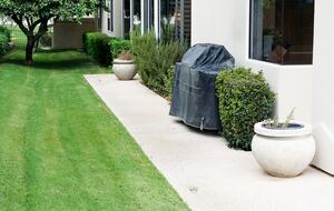 Side Yard with Fruit Trees and Gas BBQ